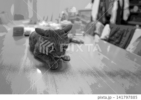 スケッチ風 猫 ネコ ねこ キジトラ グレー 雌 メス 雌ねこ 雌ネコ 元気 かわいい 癒し スケッチ風 猫 ネコ ねこ キジトラ グレー 雌 メス 雌ねこ 雌ネコ 元気 かわいい 癒し 141797885