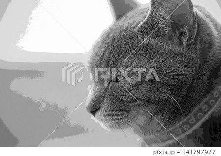 スケッチ風 猫 ネコ ねこ キジトラ グレー 雌 メス 雌ねこ 雌ネコ 元気 かわいい 癒し スケッチ風 猫 ネコ ねこ キジトラ グレー 雌 メス 雌ねこ 雌ネコ 元気 かわいい 癒し 141797927