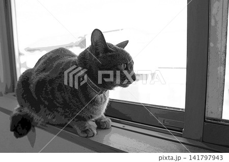 スケッチ風 猫 ネコ ねこ キジトラ グレー 雌 メス 雌ねこ 雌ネコ 元気 かわいい 癒し スケッチ風 猫 ネコ ねこ キジトラ グレー 雌 メス 雌ねこ 雌ネコ 元気 かわいい 癒し 141797943