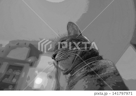 スケッチ風 猫 ネコ ねこ キジトラ グレー 雌 メス 雌ねこ 雌ネコ 元気 かわいい 癒し スケッチ風 猫 ネコ ねこ キジトラ グレー 雌 メス 雌ねこ 雌ネコ 元気 かわいい 癒し 141797971
