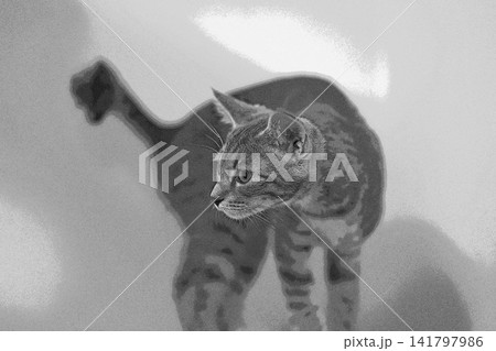 スケッチ風 猫 ネコ ねこ キジトラ グレー 雌 メス 雌ねこ 雌ネコ 元気 かわいい 癒し 141797986