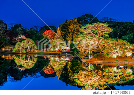 東京 六義園　紅葉のライトアップ 141798062