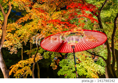 東京 六義園 紅葉のライトアップ 東京 六義園 紅葉のライトアップ 141798142
