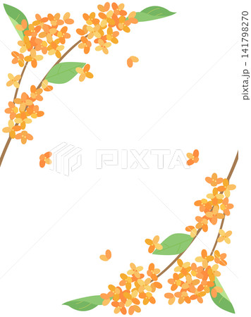 金木犀を装飾した秋のカード 縦書きバージョン 金木犀を装飾した秋のカード 縦書きバージョン 141798270