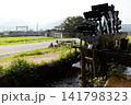 新野の水車07 141798323