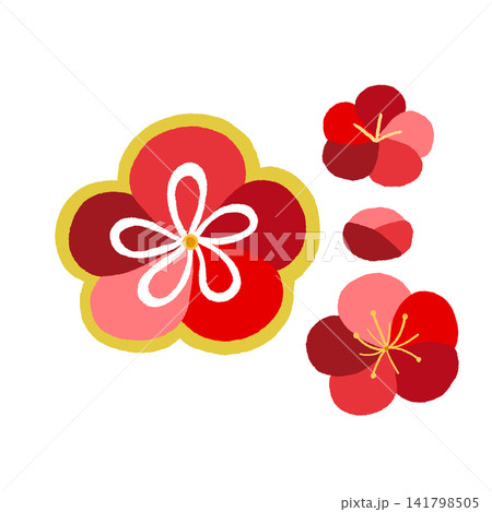 梅の花 梅の花 141798505