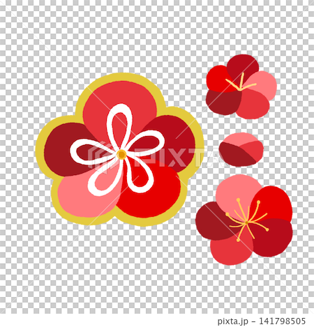 梅の花 梅の花 141798505