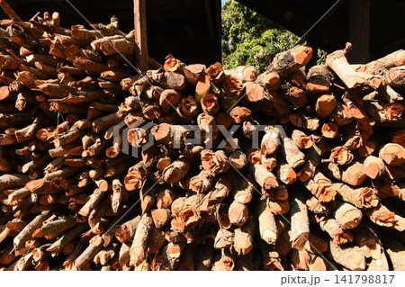 pile of wood log in the country home with sunlight, firewood for fuel pile of wood log in the country home with sunlight, firewood for fuel 141798817
