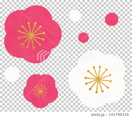 Plum blossom  141799328