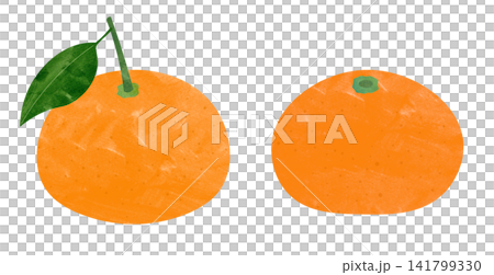 Mandarin orange Mandarin orange 141799330