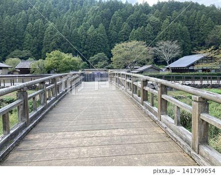 静寂に包まれた日本の里山風景 静寂に包まれた日本の里山風景 141799654