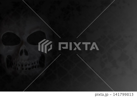 A skull hides in the dark shadows. A skull hides in the dark shadows. 141799813