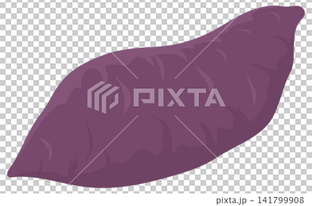 Sweet potato illustration_1 141799908