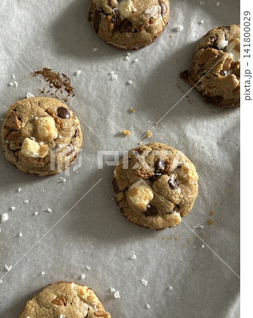 Freshly baked cookies with a golden-brown finish and chocolate chips. Perfectly crisp on the edges with a soft center, offering a delicious, comforting treat for any occasion. 141800029