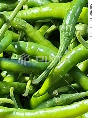 green peppers on a plate green peppers on a plate 141800403