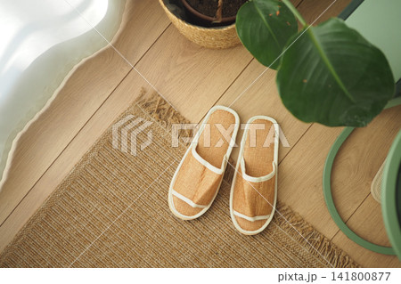Slippers placed on a soft rug in a cozy room 141800877