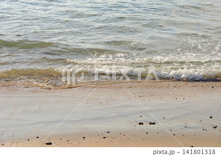 かきどまり白浜に打ち寄せる小波 かきどまり白浜に打ち寄せる小波 141801318