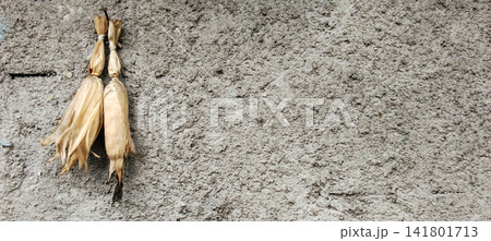 Dried corn husks hanging on a rough concrete wall. 141801713