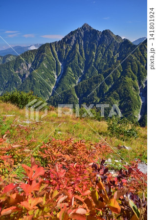 秋晴れの大日連山ハイキング 秋晴れの大日連山ハイキング 141801924