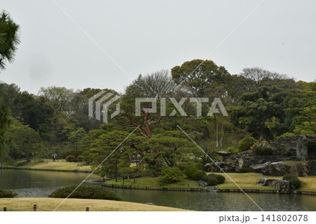 六義園 六義園 141802078