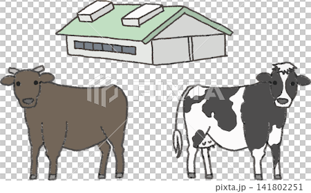一組棕色肉牛、乳牛（荷蘭）和牛棚的插圖（牲畜，手繪風格，彩色）。 141802251