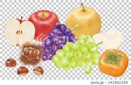 Watercolor Autumn Fruit Set Watercolor Autumn Fruit Set 141802289