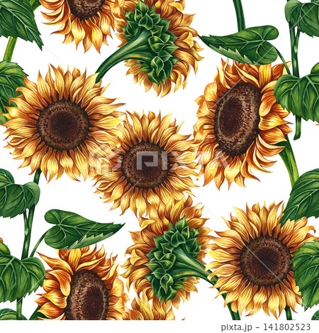 Seamless pattern with sunflowers. Hand-drawn watercolor illustration. Beautiful floral pattern. Perfect for textiles, decor, packaging and labels, prints, wallpapers, and more. Seamless pattern with sunflowers. Hand-drawn watercolor illustration. Beautiful floral pattern. Perfect for textiles, decor, packaging and labels, prints, wallpapers, and more. 141802523