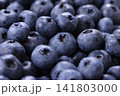 画面いっぱいに敷き詰められた新鮮なブルーベリー 画面いっぱいに敷き詰められた新鮮なブルーベリー 141803000
