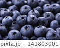 画面いっぱいに敷き詰められた新鮮なブルーベリー 画面いっぱいに敷き詰められた新鮮なブルーベリー 141803001
