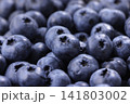 画面いっぱいに敷き詰められた新鮮なブルーベリー 画面いっぱいに敷き詰められた新鮮なブルーベリー 141803002