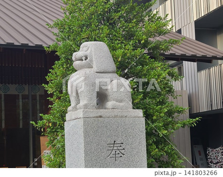 赤城神社狛犬 赤城神社狛犬 141803266