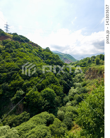 Rugged hillside covered in thick vegetation with power lines overhead Rugged hillside covered in thick vegetation with power lines overhead 141803637