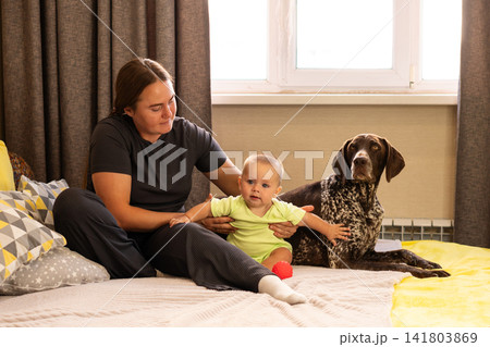 Baby Boy Reaches Toward German Shorthaired Pointer at Home Baby Boy Reaches Toward German Shorthaired Pointer at Home 141803869