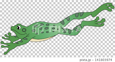 手書き動物イラスト☆カエル 手書き動物イラスト☆カエル 141803974