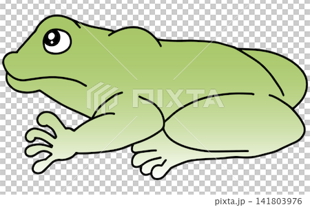 Hand-drawn animal illustration ☆ Frog 141803976