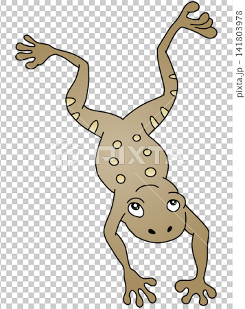 手書き動物イラスト☆カエル 手書き動物イラスト☆カエル 141803978