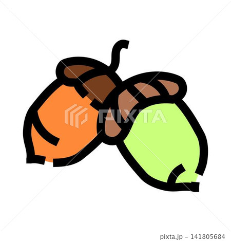 Acorns falling from oak tree during autumn season Acorns falling from oak tree during autumn season 141805684