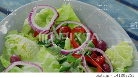Displaying ceramic bowl with lettuce, tomatoes, onion rings and olives on blue table, HUD overlay Displaying ceramic bowl with lettuce, tomatoes, onion rings and olives on blue table, HUD overlay 141808253