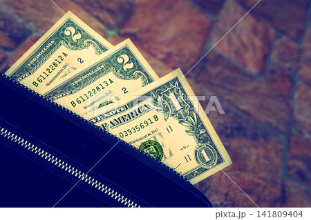 Purse, wallet with money.Handbag,clutch 141809404