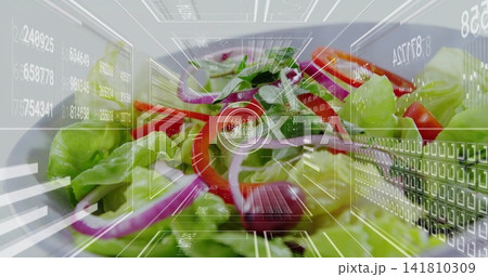 Displaying assorted salad on white ceramic plate at tabletop, featuring translucent HUD elements 141810309
