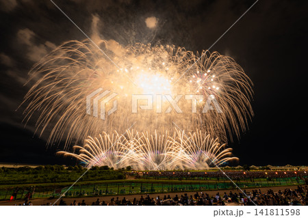 長岡花火大会2026（会場にて撮影） 141811598