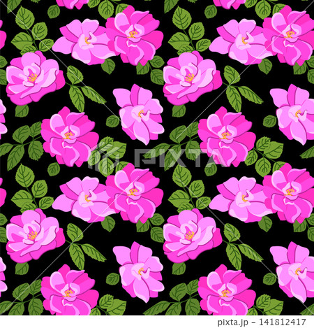 Vector background with dog roses. A popular Victorian motif. A symbol of love and passion. Seamless pattern with pink roses on a black background. Clipart for wrapping paper for cosmetics and perfumes Vector background with dog roses. A popular Victorian motif. A symbol of love and passion. Seamless pattern with pink roses on a black background. Clipart for wrapping paper for cosmetics and perfumes 141812417