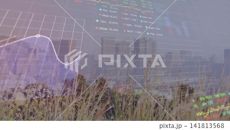 Overlaying translucent financial charts centered at meadow edge, showing line graph and candlestick 141813568