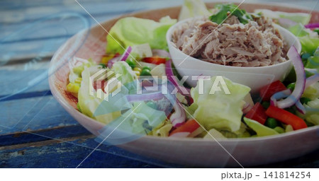 Displaying shallow pink plate holding salad, small white bowl of flaked tuna on blue wooden table Displaying shallow pink plate holding salad, small white bowl of flaked tuna on blue wooden table 141814254