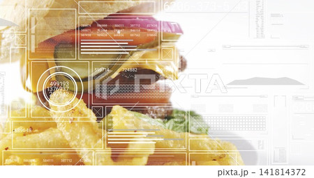 Displaying stacked cheeseburger and pile of fries on white plate in studio, with AR overlays Displaying stacked cheeseburger and pile of fries on white plate in studio, with AR overlays 141814372