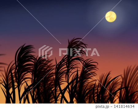 ススキと月が見える夕暮れ ススキと月が見える夕暮れ 141814634