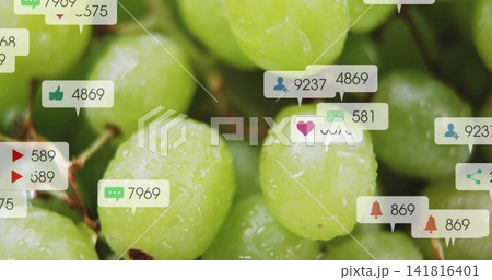 Displaying green grape cluster with stems and droplets in macro view, with notification overlays Displaying green grape cluster with stems and droplets in macro view, with notification overlays 141816401