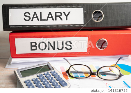 Salary, Bonus Binder data finance report business with graph analysis in office. Salary, Bonus Binder data finance report business with graph analysis in office. 141816735