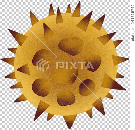 varicella zoster virus varicella zoster virus 141816740