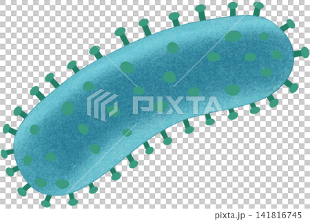 rabies lyssavirus illustration rabies lyssavirus illustration 141816745
